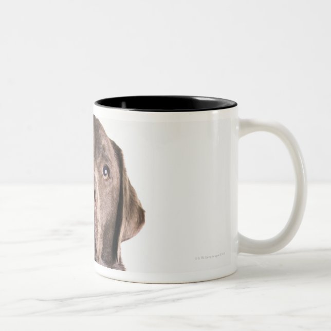 Tasse 2 Couleurs Portrait de studio de chocolat Labrador (Droit)