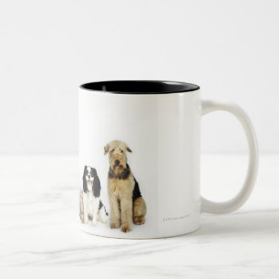 Tasse 2 Couleurs Portrait des chats et des chiens se reposant