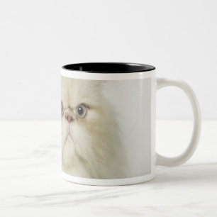 Tasse 2 Couleurs Portrait d'un chat persan