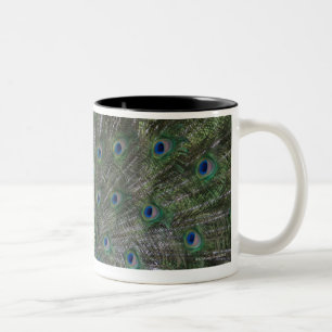 Tasse 2 Couleurs portrait, plumes, colorées, paon, dehors,