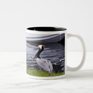 Tasse 2 Couleurs Posé de Pélican