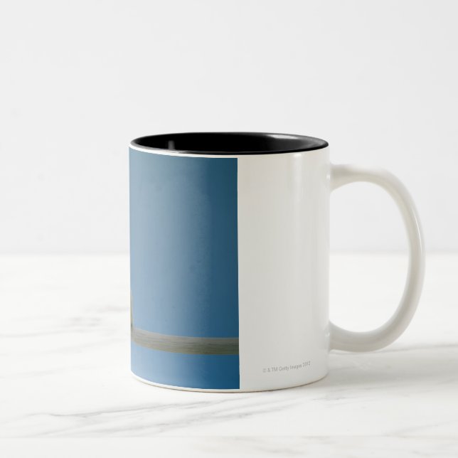 Tasse 2 Couleurs Poulet solitaire d'animal familier de bébé se (Droit)