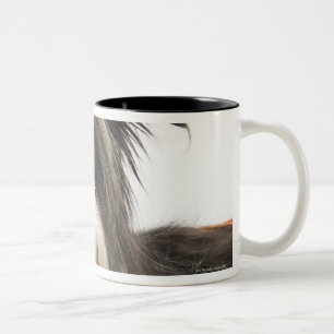 Tasse 2 Couleurs Poursuivez dans le panier 2