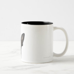 Tasse 2 Couleurs poursuivez la position sur 2 jambes regardant