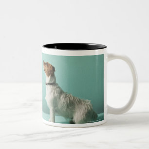 Tasse 2 Couleurs poursuivez la recherche dans l'espace