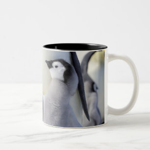 Tasse 2 Couleurs Poussin de pingouin d'empereur