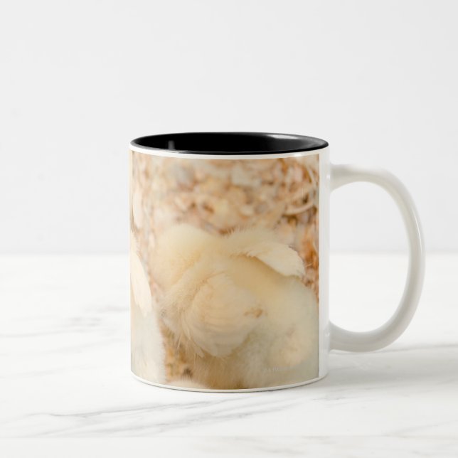 Tasse 2 Couleurs poussins (Droit)