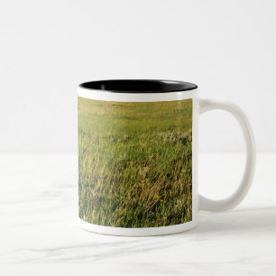 Tasse 2 Couleurs Prairie à herbe courte dans le nord-est éloigné
