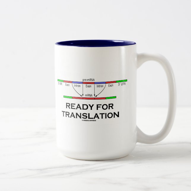 Tasse 2 Couleurs Préparez pour la traduction (pré-ADN messagère (Droit)