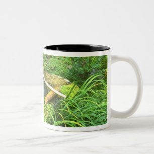Tasse 2 Couleurs Printemps pour la cérémonie du thé, temple Sanzen-