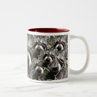 Tasse 2 Couleurs Problème de Racoon