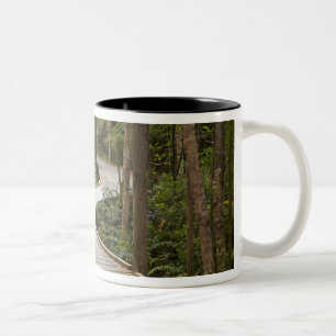 Tasse 2 Couleurs Promenade jusqu'aux chutes Nelson, Franklin - Gord