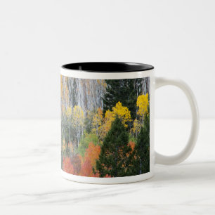 Tasse 2 Couleurs Provo River et peupliers faux-trembles