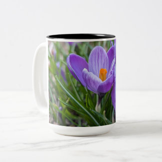 Tasse 2 Couleurs Purple Crocus Flower