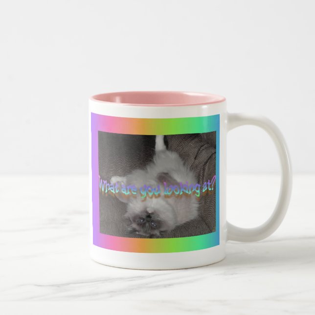 Tasse 2 Couleurs Que regardez-vous ? (Droit)
