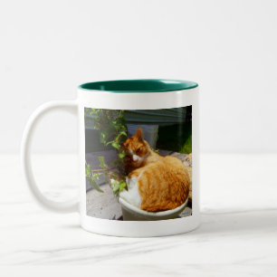 Tasse 2 Couleurs Racleur dans un pot