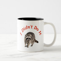 Racoon
