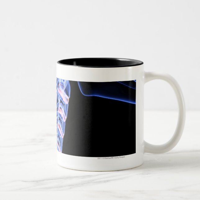 Tasse 2 Couleurs Radiographiez l'image des os du cou (Droit)