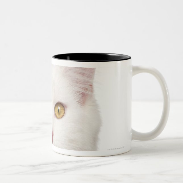 Tasse 2 Couleurs Ragondin du Maine (8 mois) 2 (Droit)