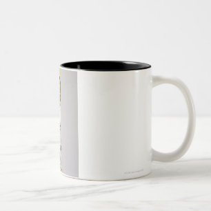 Tasse 2 Couleurs Rangée des papillons