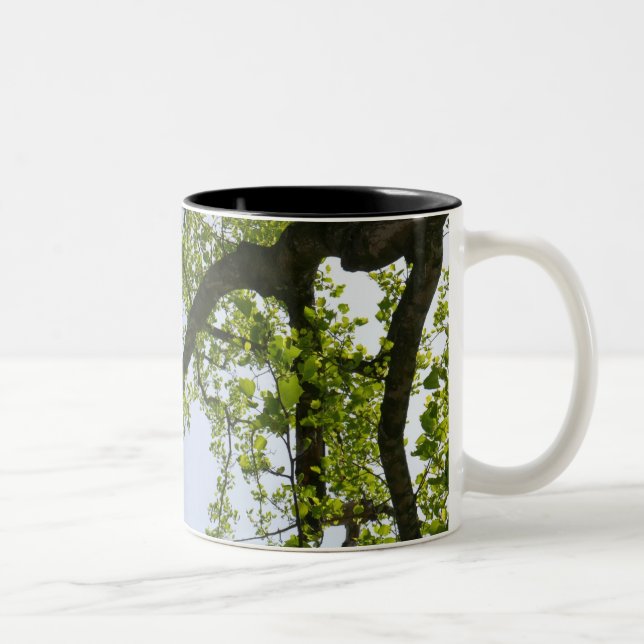 Tasse 2 Couleurs Recherche de l'arbre du peuplier de printemps (Droit)
