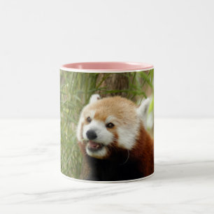 Tasse 2 Couleurs red-panda-033