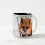 Tasse 2 Couleurs Renard d'hiver personnalisé<br><div class="desc">Un simple renard sur un arrière - plan enneigé.Vous pouvez personnaliser ce design pour faire un beau cadeau pour un amoureux de la faune ce Noël.</div>