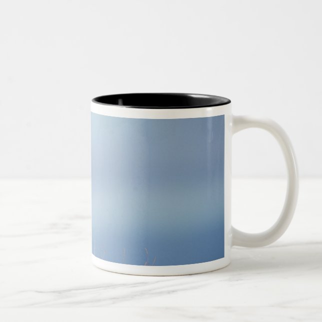 Tasse 2 Couleurs renard roux, Vulpes vulpes (Droit)