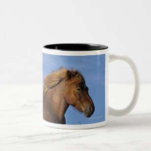Tasse 2 Couleurs Repos islandais et ciel de cheval