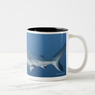 Tasse 2 Couleurs Requin gris de récif (amblyrhynchos de
