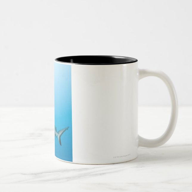 Tasse 2 Couleurs Requins gris de récif (amblyrhnchos de (Droit)