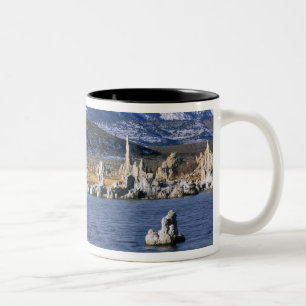 TASSE 2 COULEURS RÉSERVE NATURELLE ÉTATIQUE DE TUFA DU LAC MONO,