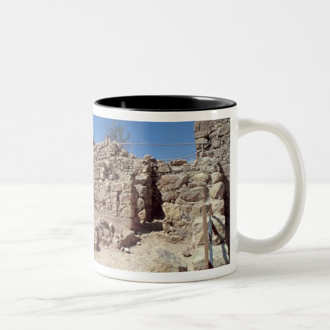 Tasse 2 Couleurs Restes du palais de forteresse (Droit)