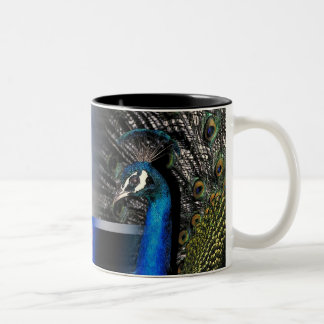 Tasse 2 Couleurs Rêves de paon