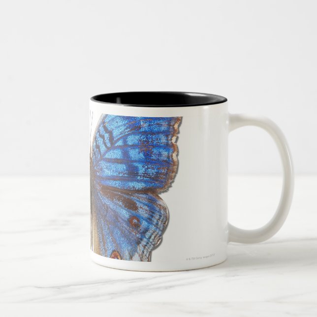 Tasse 2 Couleurs Rhadama de résumé (Droit)