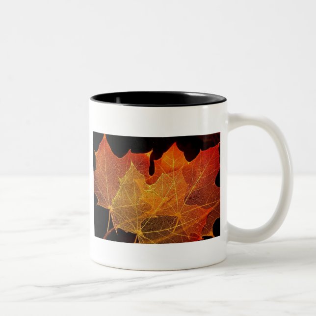 Tasse 2 Couleurs Rien or ne peut rester (Droit)