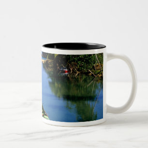 Tasse 2 Couleurs Rivière panoramique près d'Ocho Rios en Jamaïque
