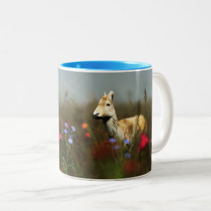 Tasse 2 Couleurs Roe dans une Musique de pré