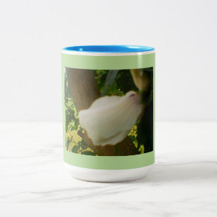 Tasse 2 Couleurs Rose dans Bloom