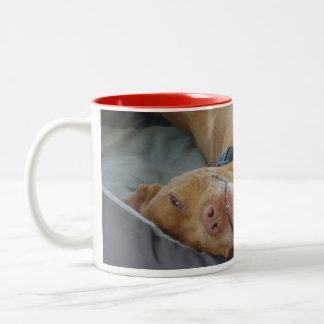Tasse 2 Couleurs Rouge