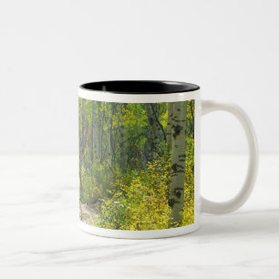 Tasse 2 Couleurs Route avec couleurs d'automne et trembles à Kebler