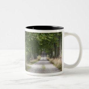 Tasse 2 Couleurs Route de campagne en terre près de la ville de