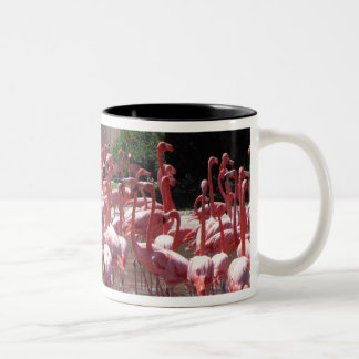 Tasse 2 Couleurs Route de Flamant rose
