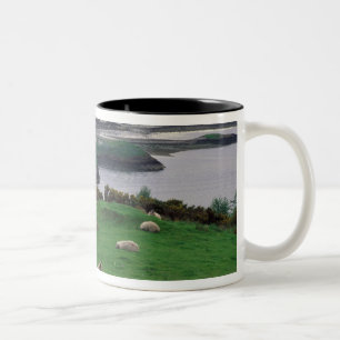 Tasse 2 Couleurs Royaume-Uni, Écosse, île de Skye, vieux