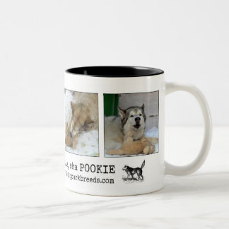 Tasse 2 Couleurs Saint Malute de Kayla