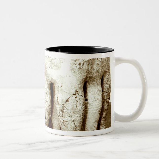 Tasse 2 Couleurs Sarcophage (Droit)