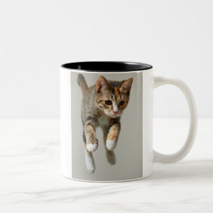 Tasse 2 Couleurs Sauter de chat de calicot
