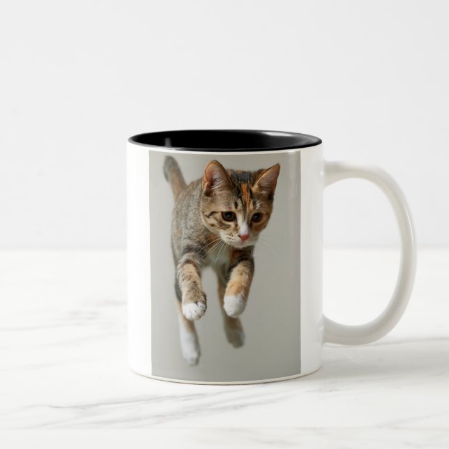 Tasse 2 Couleurs Sauter de chat de calicot (Droit)