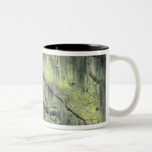 Tasse 2 Couleurs Savannah, Géorgie, arbre de chêne vivant drapé de