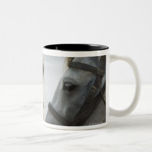 Tasse 2 Couleurs Se réunir de deux chevaux